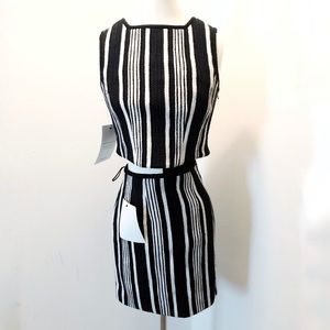 Carven Fancy Crop and Skirt Set